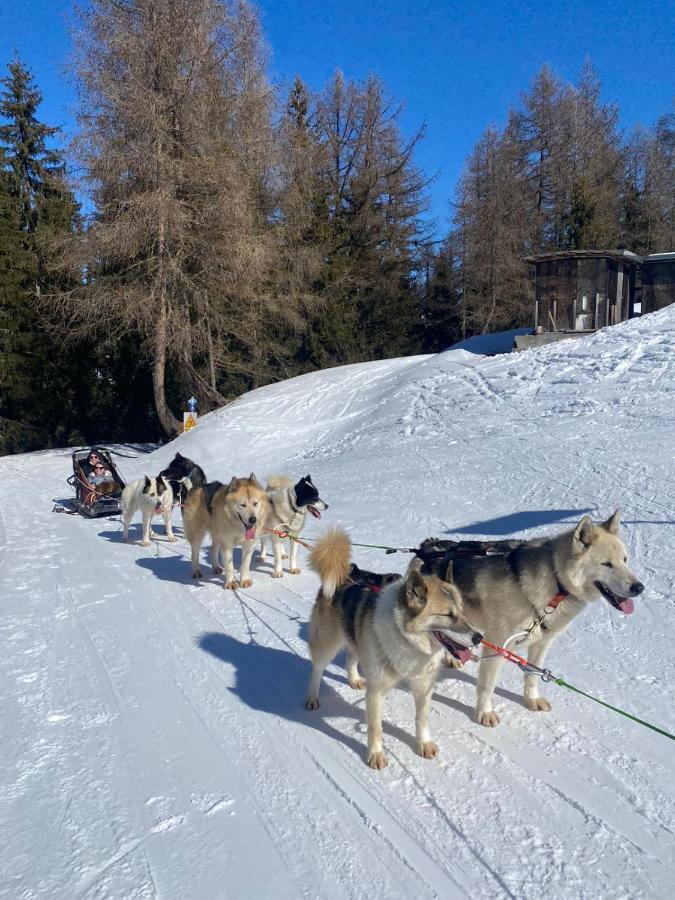 Plagne Bellecote - 5 Pers - Vue Pistes - Acces Piscine Chauffee Daire La Plagne Dış mekan fotoğraf